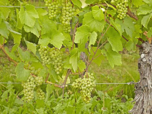 Tourisme et activités en Alsace